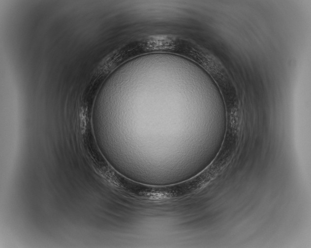 X0000116490741200912161318