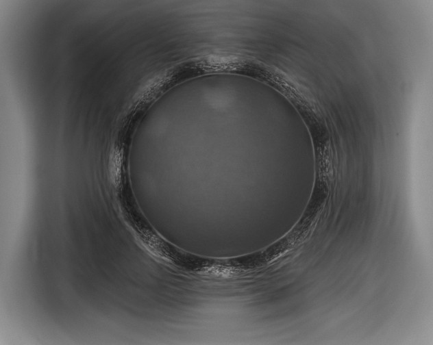 X0000116490742200912161318