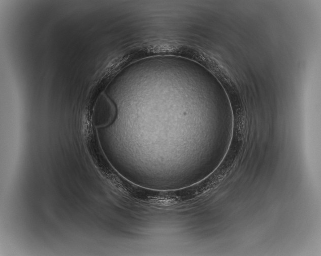 X0000116490743200912161318