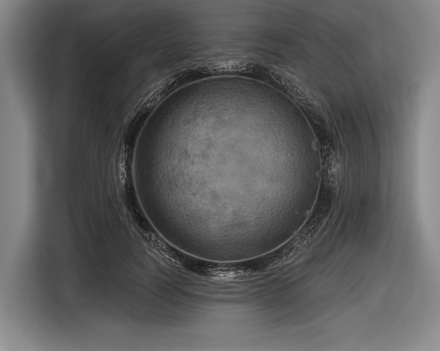 X0000116490746200912161318