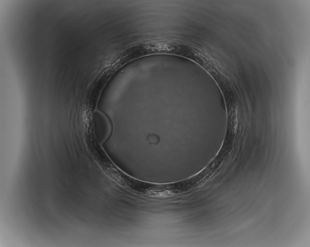 X0000116490747200912161318