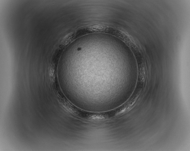 X0000116490749200912161318