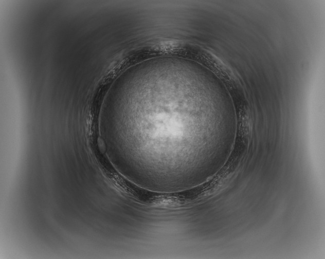 X0000116490750200912161318