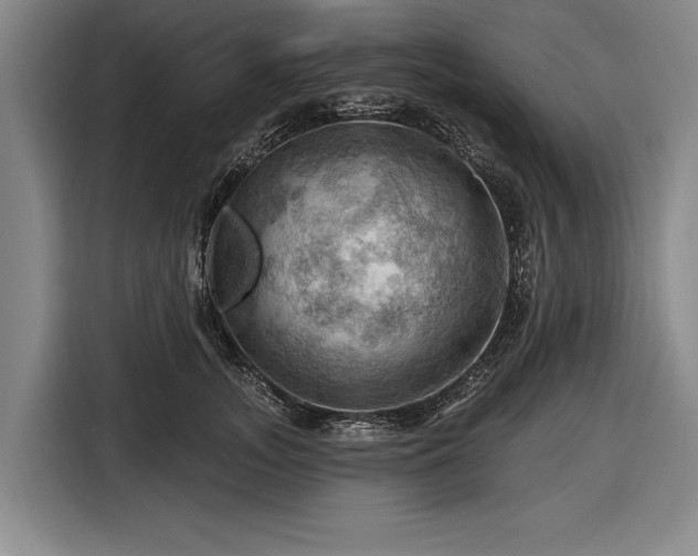 X0000116490755200912161318