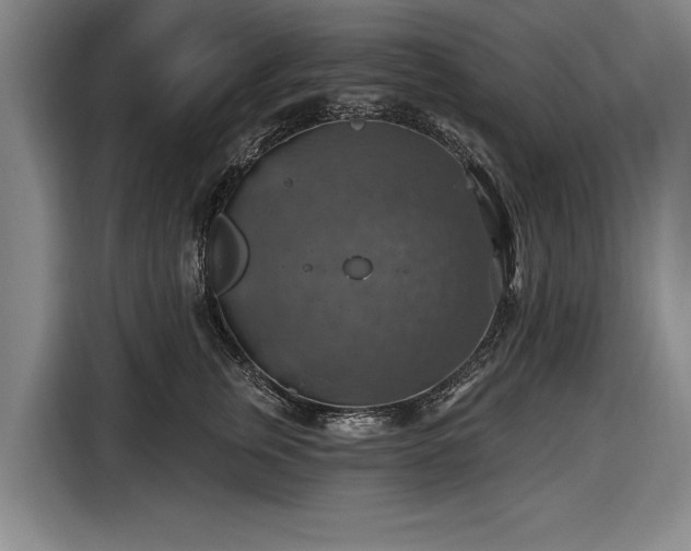 X0000116490759200912161318