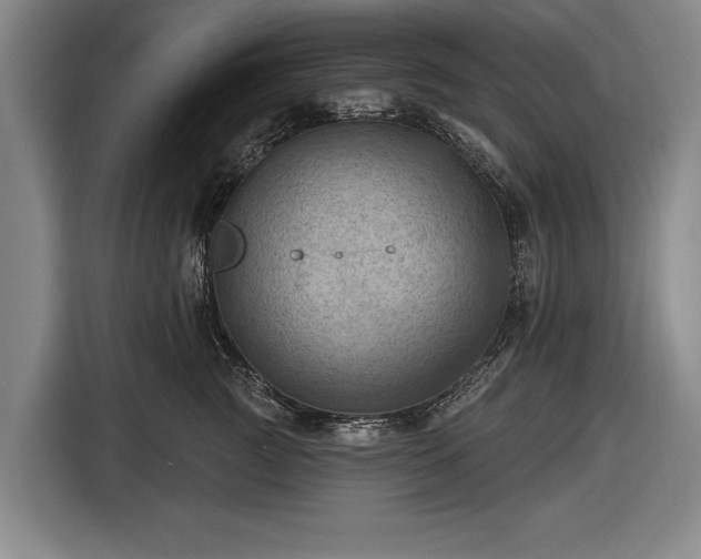 X0000116490761200912161318