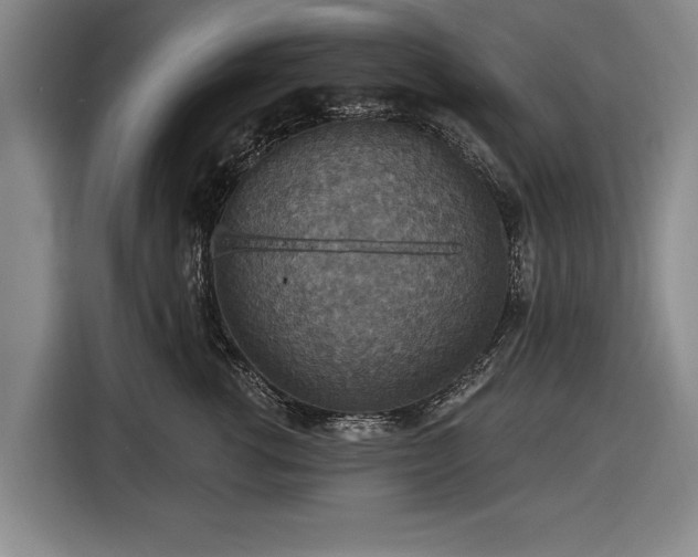 X0000116490762200912161318