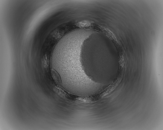 X0000116490763200912161318