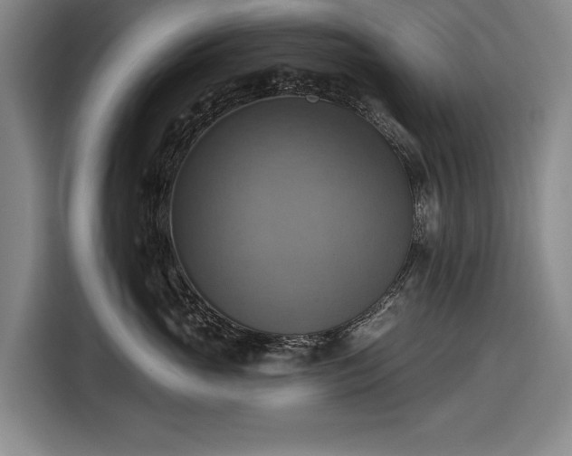 X0000116490765200912161318