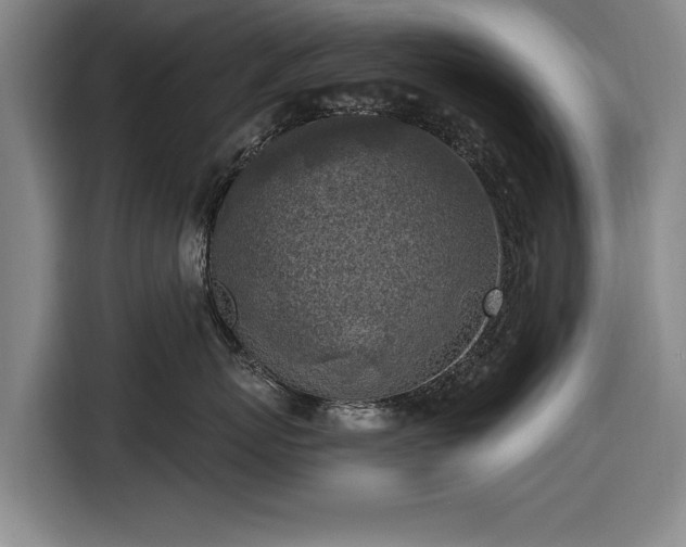 X0000116490767200912161318