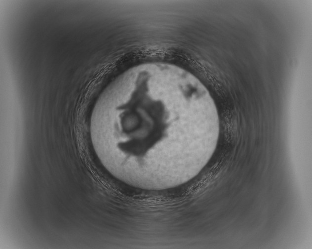 X0000116490769200912161318