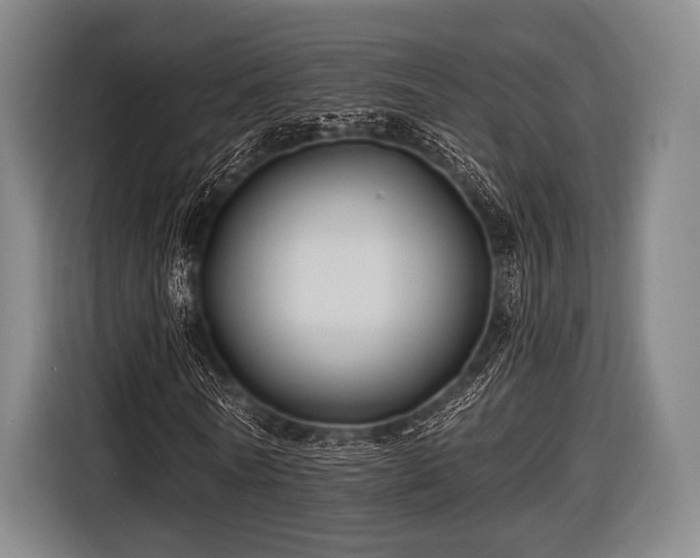 X0000116490770200912161318