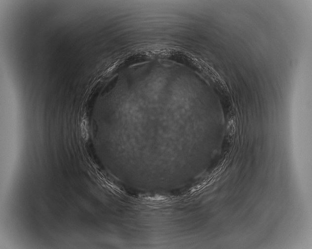 X0000116490772200912161318