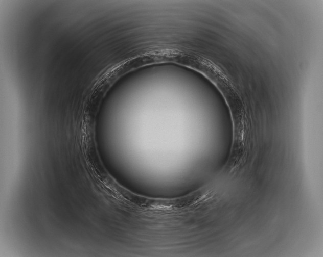 X0000116490773200912161318