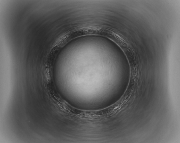 X0000116490774200912161318