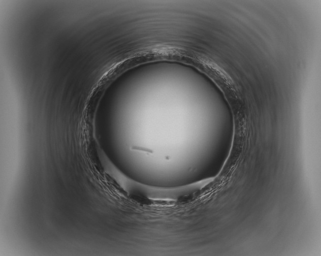 X0000116490776200912161318