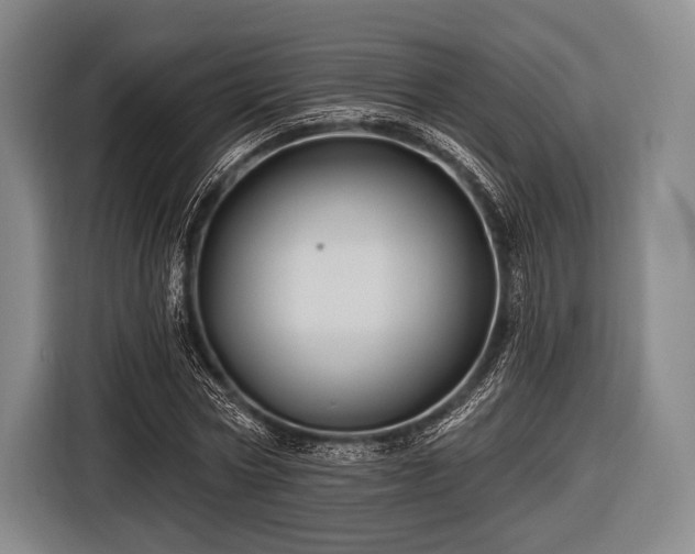 X0000116490778200912161318