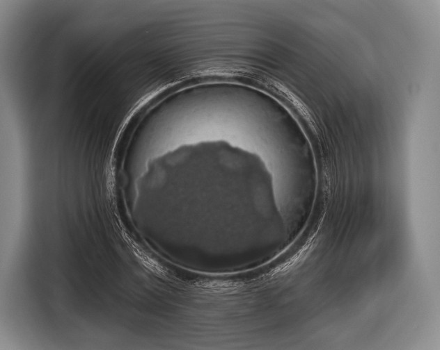 X0000116490779200912161318