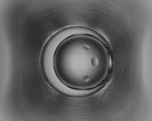 X0000116490781200912161318