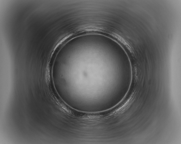 X0000116490782200912161318