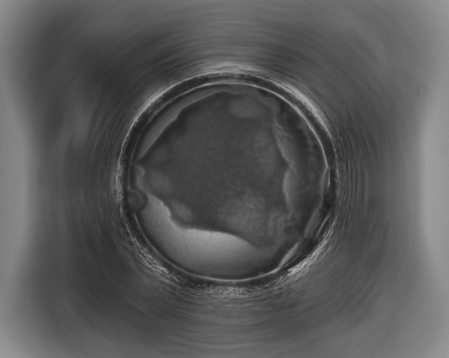 X0000116490783200912161318