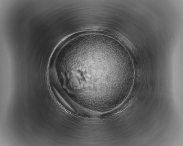 X0000116490784200912161318