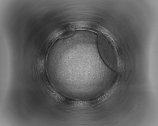 X0000116490785200912161318