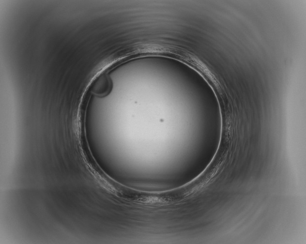 X0000116490787200912161318