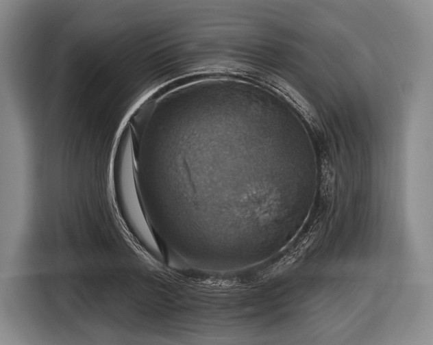 X0000116490788200912161318