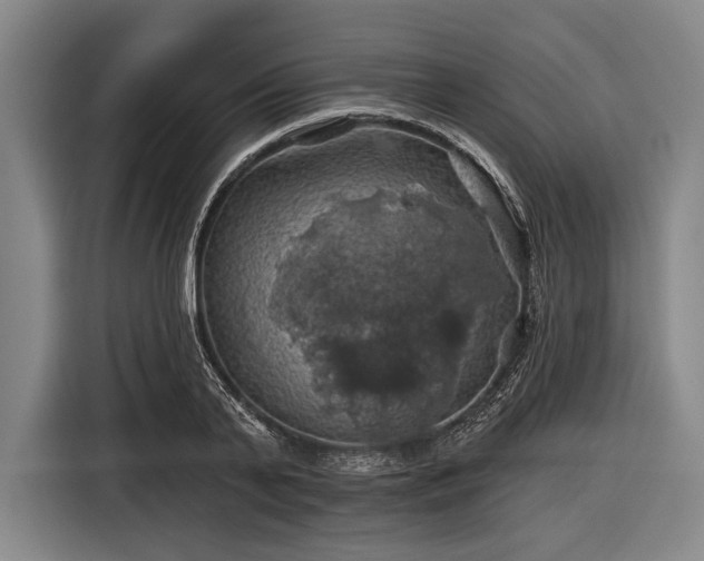 X0000116490791200912161318