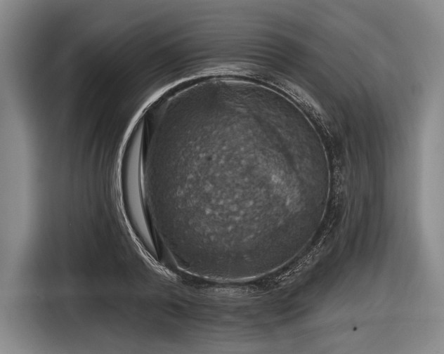 X0000116490792200912161317