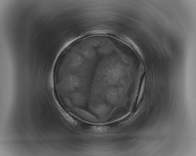 X0000116490795200912161317