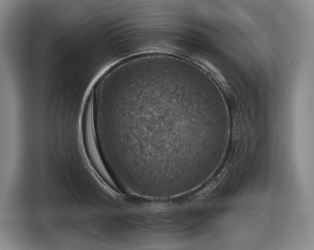 X0000116490796200912161317