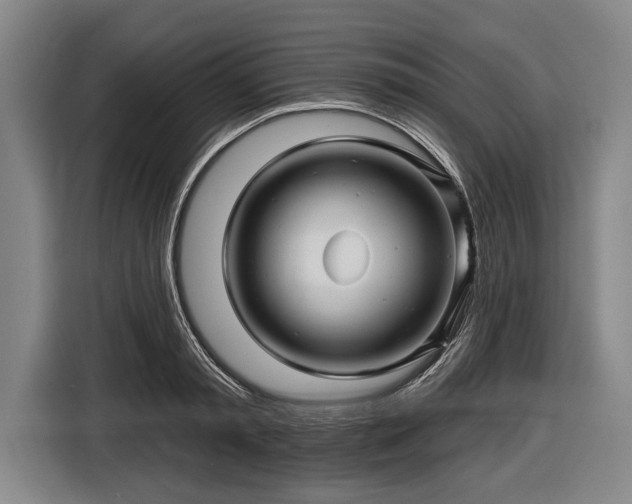 X0000116490797200912161317