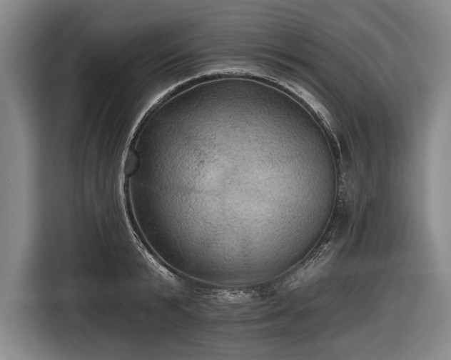 X0000116490799200912161317