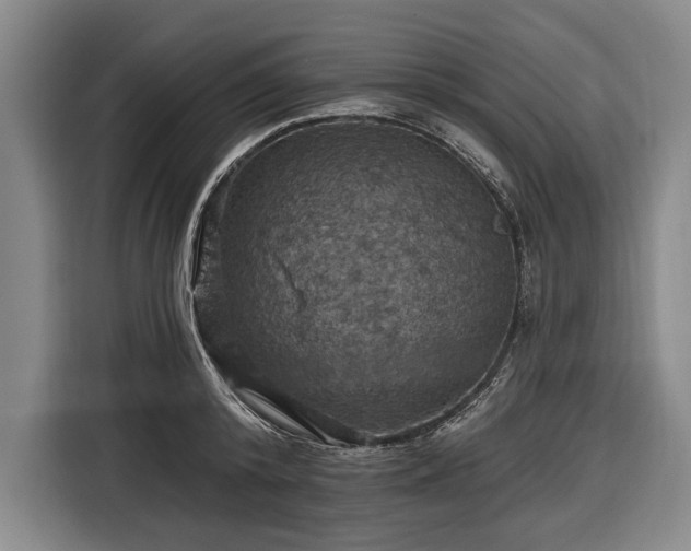 X0000116490800200912161317