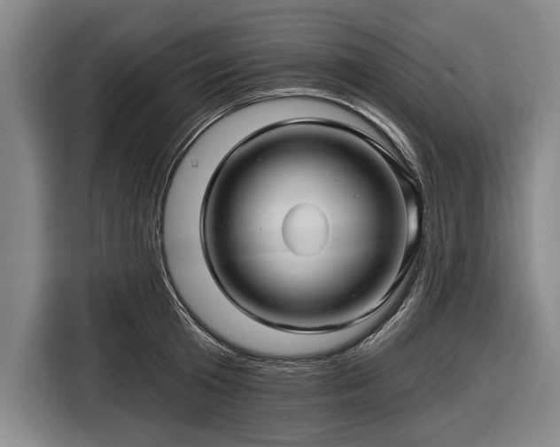 X0000116490801200912161317