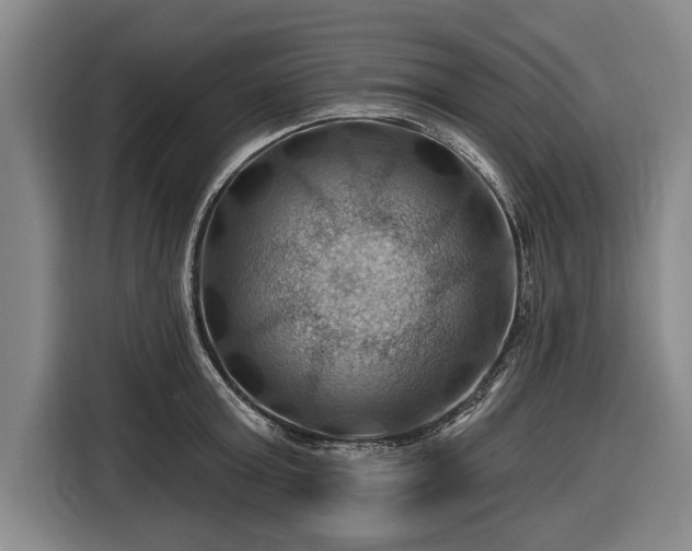 X0000116490803200912161317