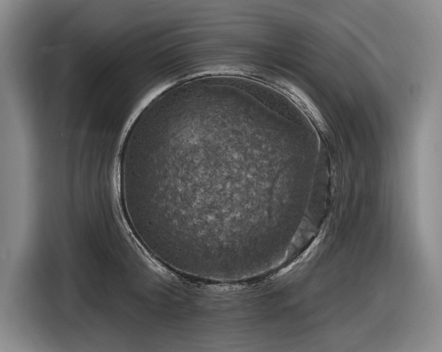 X0000116490804200912161317