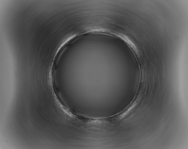 X0000116490806200912161317