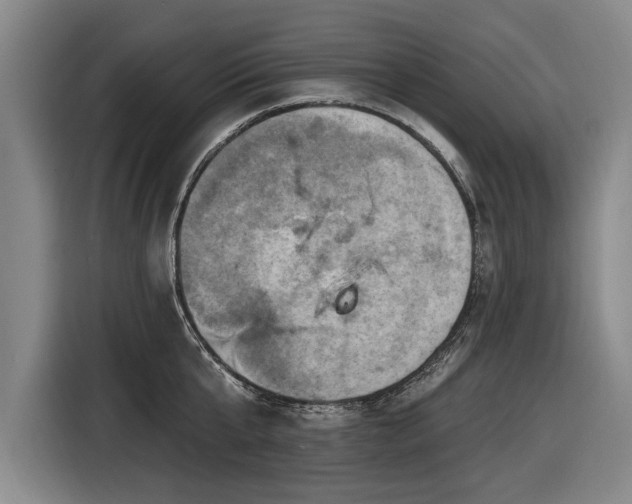 X0000116490807200912161317