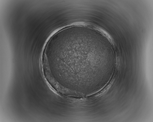 X0000116490808200912161317