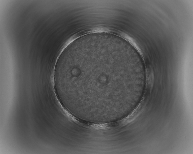 X0000116490810200912161317