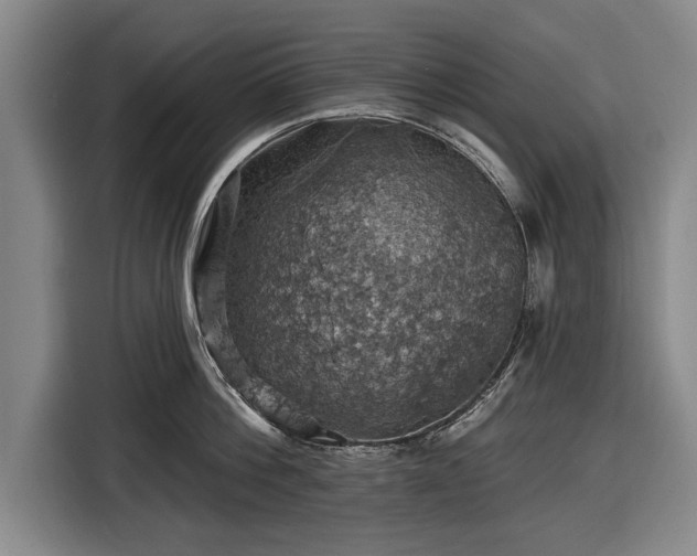 X0000116490812200912161317