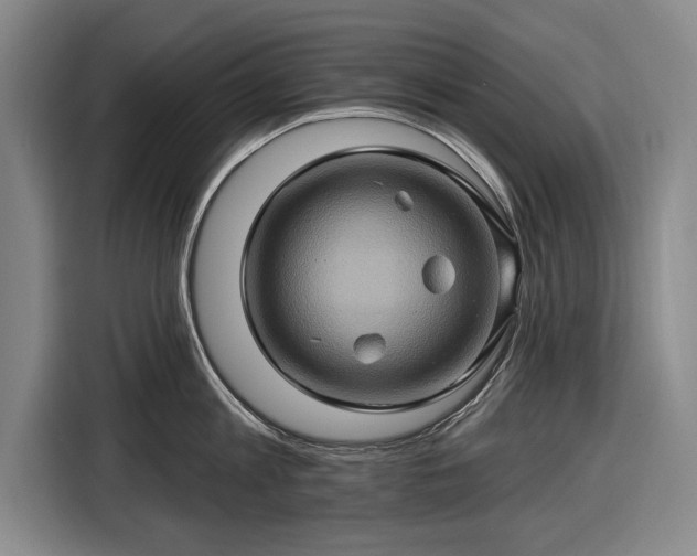 X0000116490813200912161317