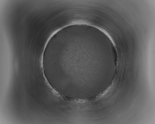 X0000116490815200912161317