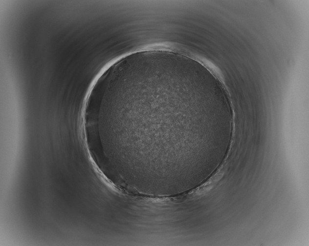 X0000116490816200912161317