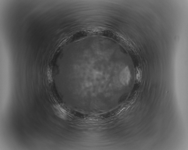 X0000116490819200912161317