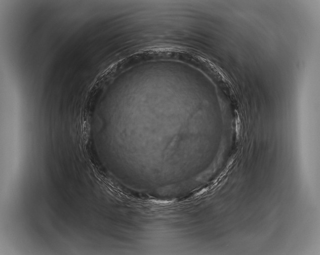 X0000116490821200912161317