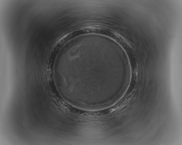 X0000116490822200912161317